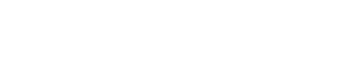 Our_coil_design.png